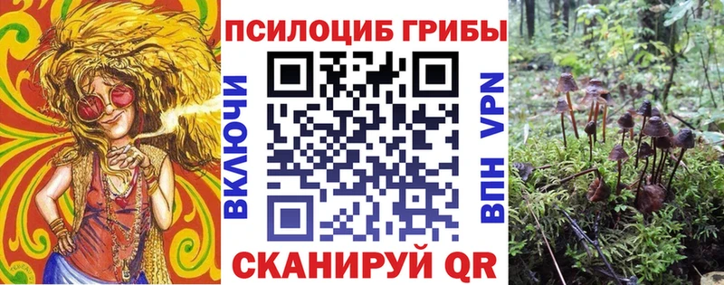 Галлюциногенные грибы прущие грибы  Белёв 